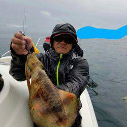 ソルトウォーターガイドフレンズ 釣果