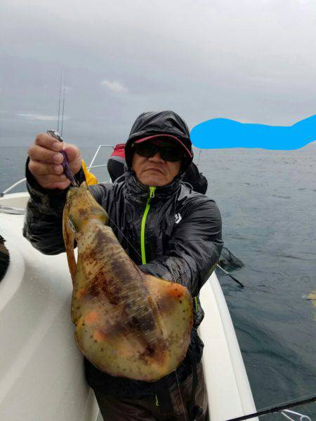 ソルトウォーターガイドフレンズ 釣果