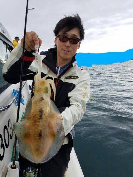 ソルトウォーターガイドフレンズ 釣果