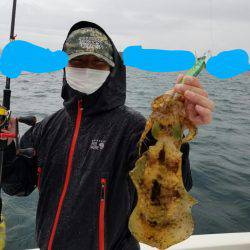 ソルトウォーターガイドフレンズ 釣果