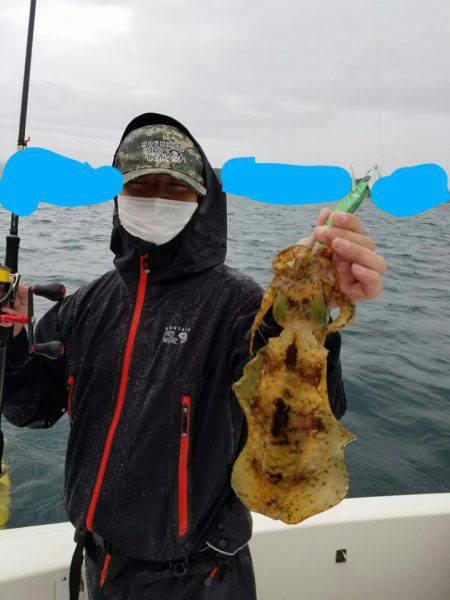 ソルトウォーターガイドフレンズ 釣果