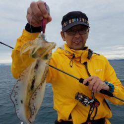 ソルトウォーターガイドフレンズ 釣果