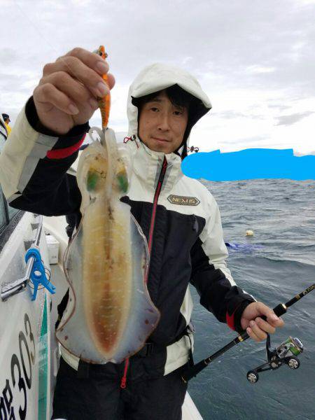 ソルトウォーターガイドフレンズ 釣果