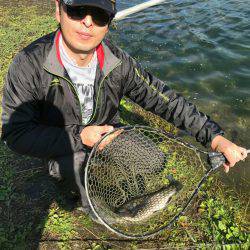 加賀フィッシングエリア 釣果