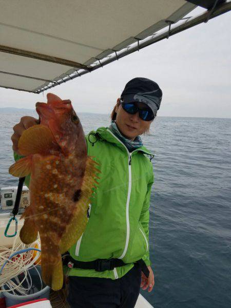 ソルトウォーターガイドフレンズ 釣果