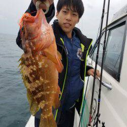 ソルトウォーターガイドフレンズ 釣果