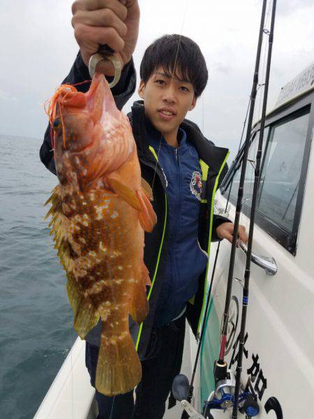 ソルトウォーターガイドフレンズ 釣果