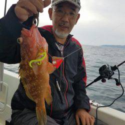 ソルトウォーターガイドフレンズ 釣果