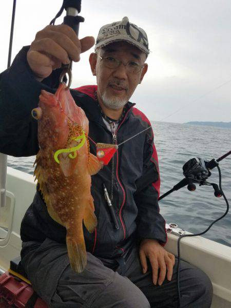 ソルトウォーターガイドフレンズ 釣果