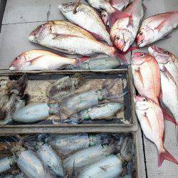 ブルースフィッシングサービス 釣果