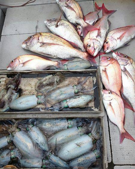 ブルースフィッシングサービス 釣果