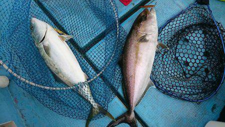 シースナイパー海龍 釣果