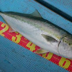 シースナイパー海龍 釣果