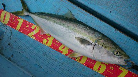 シースナイパー海龍 釣果