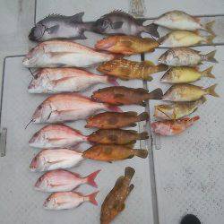 海季丸(みきまる) 釣果