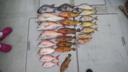 海季丸（みきまる） 釣果