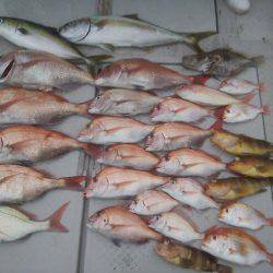 海季丸(みきまる) 釣果