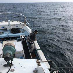 第八 源洋丸 釣果