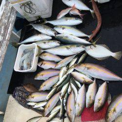 第八 源洋丸 釣果