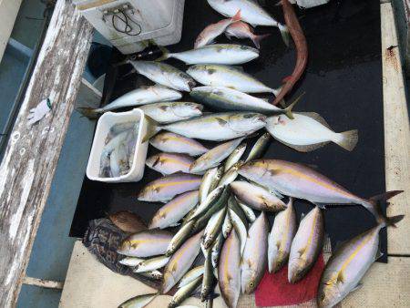 第八 源洋丸 釣果