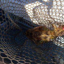 第八 源洋丸 釣果