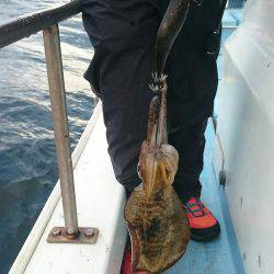 シースナイパー海龍 釣果