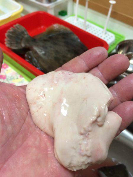 宮崎　福丸 釣果