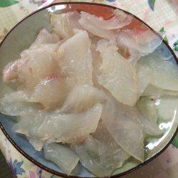 宮崎　福丸 釣果