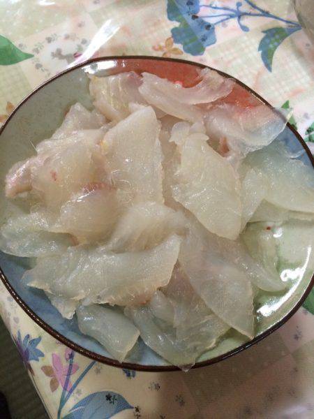 宮崎　福丸 釣果