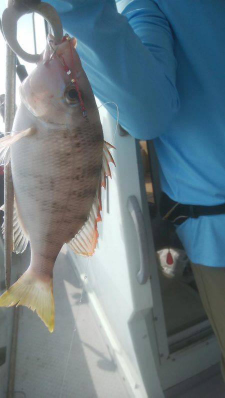 海季丸(みきまる) 釣果