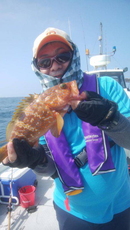 海季丸（みきまる） 釣果