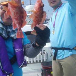 海季丸(みきまる) 釣果