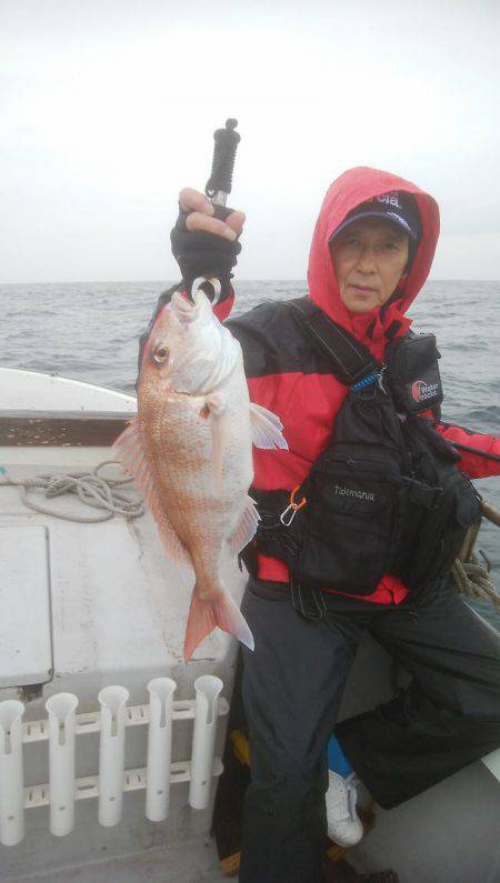 海季丸(みきまる) 釣果