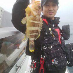 海季丸(みきまる) 釣果