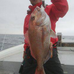 海季丸(みきまる) 釣果
