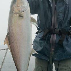 シースナイパー海龍 釣果