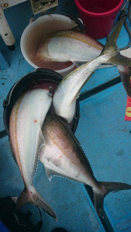 シースナイパー海龍 釣果