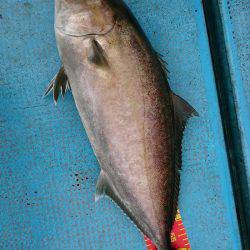 シースナイパー海龍 釣果