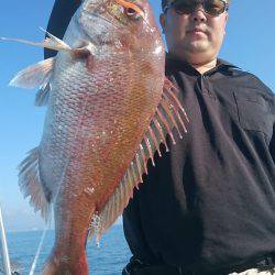 シースナイパー海龍 釣果