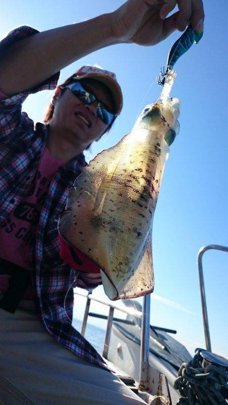 シースナイパー海龍 釣果