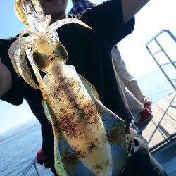 シースナイパー海龍 釣果