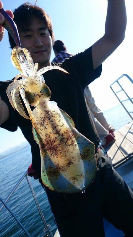 シースナイパー海龍 釣果