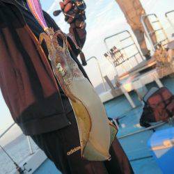 シースナイパー海龍 釣果