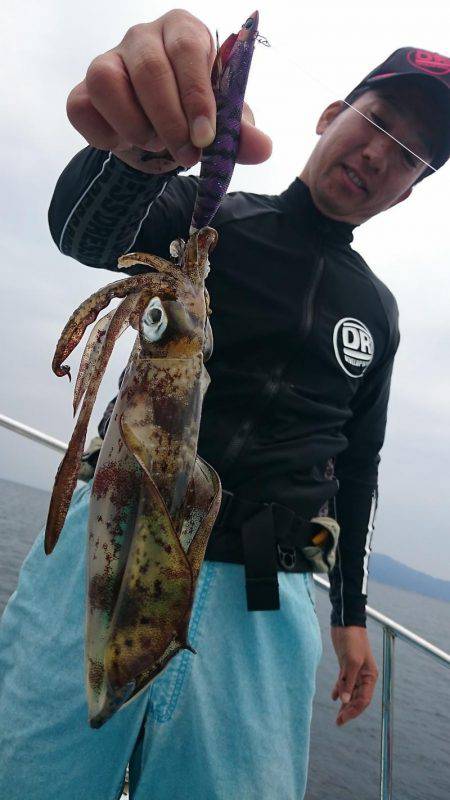 シースナイパー海龍 釣果