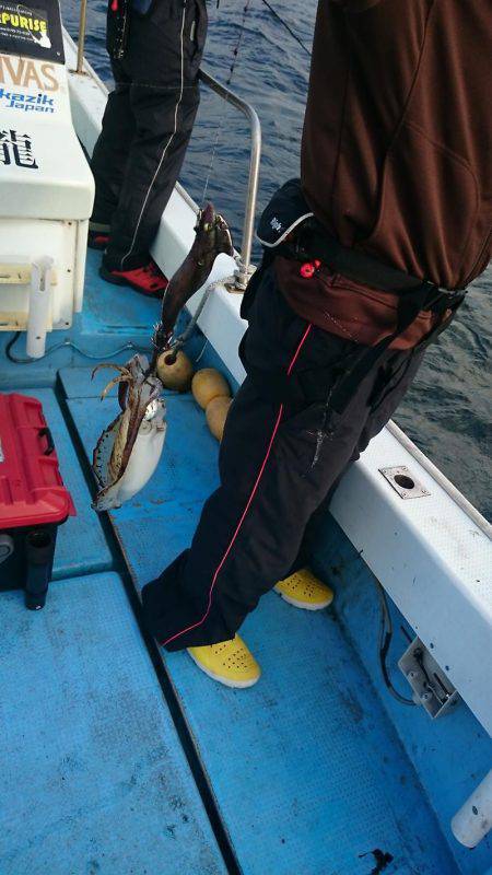 シースナイパー海龍 釣果