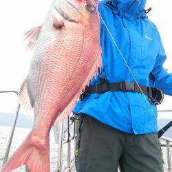 シースナイパー海龍 釣果