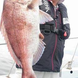 シースナイパー海龍 釣果