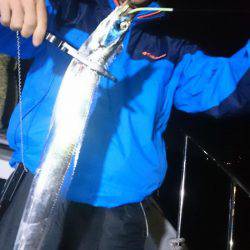 シースナイパー海龍 釣果