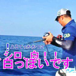 ＫＹＯＥＩⅢ 釣果