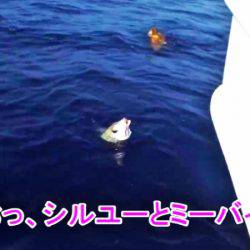 ＫＹＯＥＩⅢ 釣果